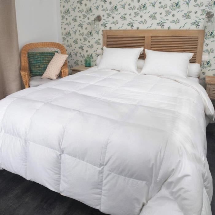 CASTEX COUETTES NATURELLES Couette Mi-saison oie 260x240 cm 90% duvet neuf -  - Chaude - Coton bio 