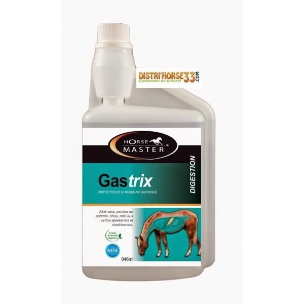 Gastrix Bidon 3.78 L