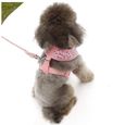 Chien cardiomètre Motif floral minuscule petit harnais pour chien marche Leash plomb poitrine Gilet (S, Rose)-1