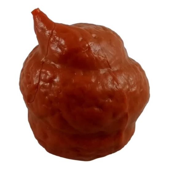 Jouet Crotte 4 X 6 Cm Faux Caca Marron Gluant Et Mou Gag Farces Et Attrape Cdiscount Jeux Jouets