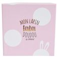 Doudou et Compagnie - Lapin - Coffret chaussons avec hochet Rose 0-6 mois-2