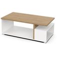 Table basse rectangulaire ACCESS - 3 Niches - Décor chêne Hamilton et blanc - L 91,8 x P 50 x H 36 cm - DEMEYERE-3