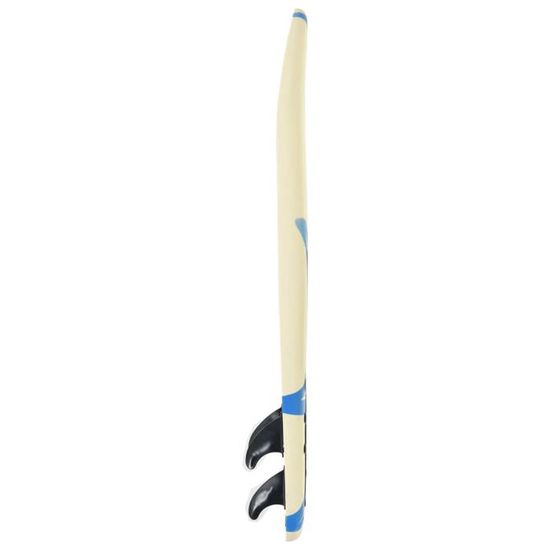 Planche De Surf 170 Cm VidaXL - En XPE Souple, Flottabilité Optimale, Idéale Débutants, Capacité 90 Kg