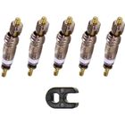 CYCLINGCOLORS 5x OBUS DE VALVE PRESTA SCHWALBE AVEC CLÉ DE MONTAGE VÉLO CYCLE FINE FRANÇAISE