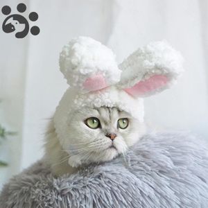 Costume Chat Noel Achat Vente Pas Cher Costume Chat Noel Achat Vente Pas Cher