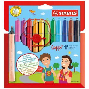 30 Feutres et Crayons de Couleur F56336 STABILO Coloriage Boîte de Coloriage à Décorer FESTIBOX 