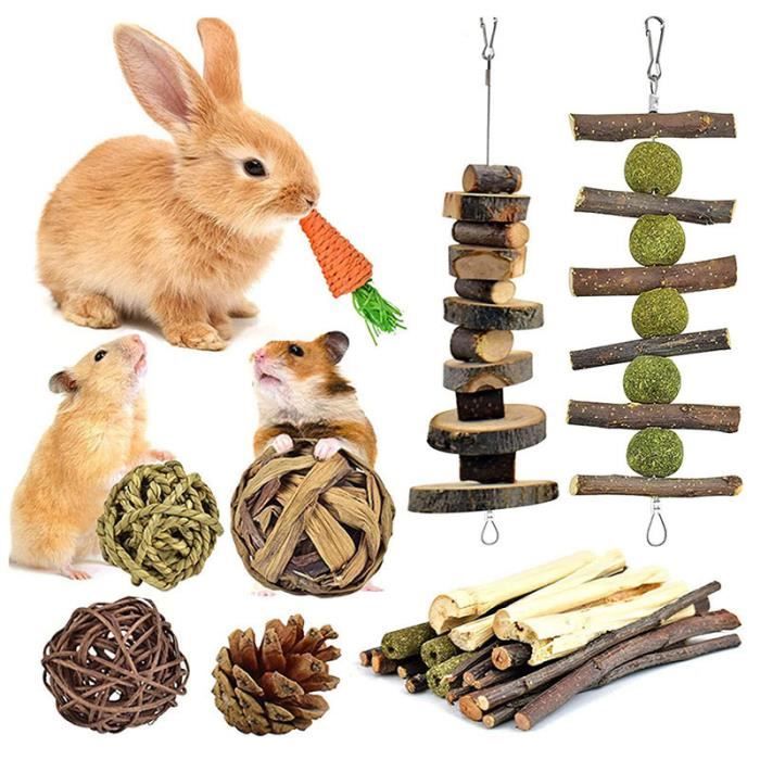 Meilleurs prix pour Jouets à Mâcher pour Hamster 10 Pieces Mâcher en Bois Naturel pour Jouer et Soigner Les Dents, Jouet pour Hamster Perroquet Lapin