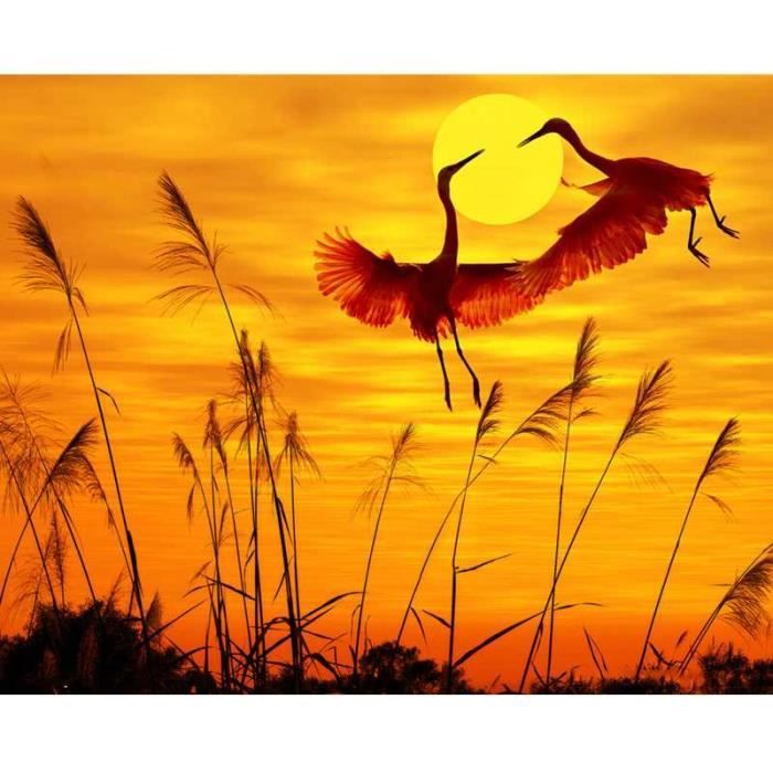 Bricolage Peinture Par Numeros Coucher De Soleil Toile Impression