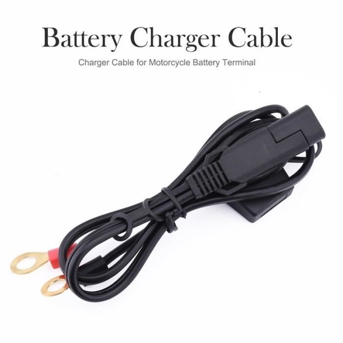 Lot De 3 Câbles Chargeur USB Vers SM 2P – 6.0V 250mA Pour Batterie Voiture RC – Adaptateur Secteur Noir 45 Cm