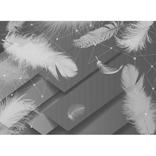 Papier Peint 3D Blanc Plumes M07504 - Autocollant Amovible, Effet Mural, Romy