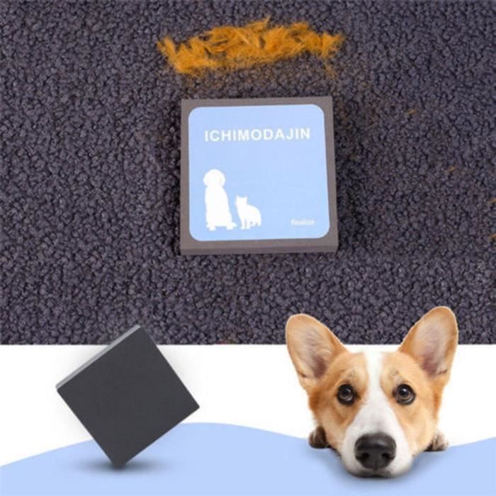 Peigne Pour Chien Et Chat En Forme D'ours - Élimine Les Poils Facilement - Brosse De Toilettage Pratique