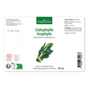 Huile Végétale Vierge De Calophylle Inophylle (Tamanu) Pure 100 Ml - Produit Naturel Français