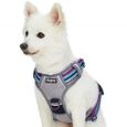 Blueberry Pet harnais pour chien réfléchissant, rembourré, sans traction, attaches laisse avant et arrière, Petit, Violet et Céleste-0