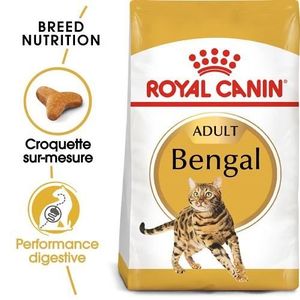 CROQUETTES Royal Canin Bengal Adult pour chat 2 kg