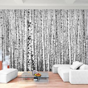 Bouleaux Papier Peint Noir Et Argent Beaux Decor Achat Vente Papier Peint Bouleaux Papier Peint Noi Cdiscount