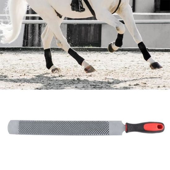 Kit D'outils Professionnel Pour Maréchal-ferrant - 12 Pièces : Râpe, Clincher, Couteau à Sabot, Set Complet
