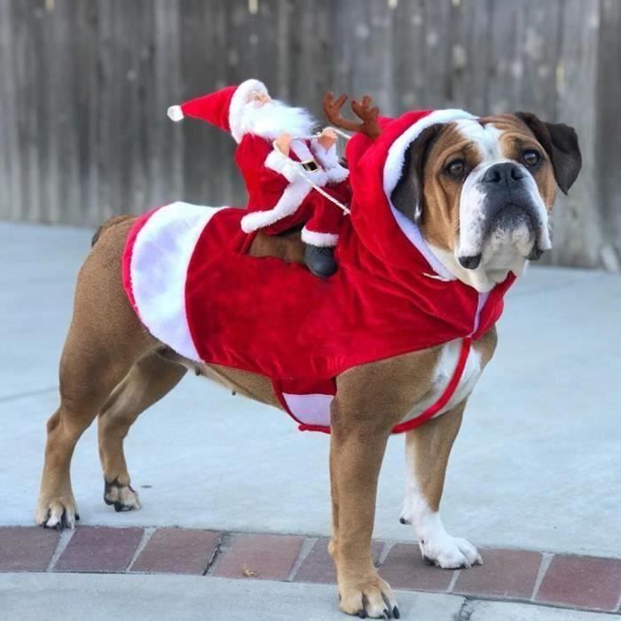 Nouveau chien Père Noël style Transformé Manteau de chat de vêtements pour chiens 6 My59782 Ma48567