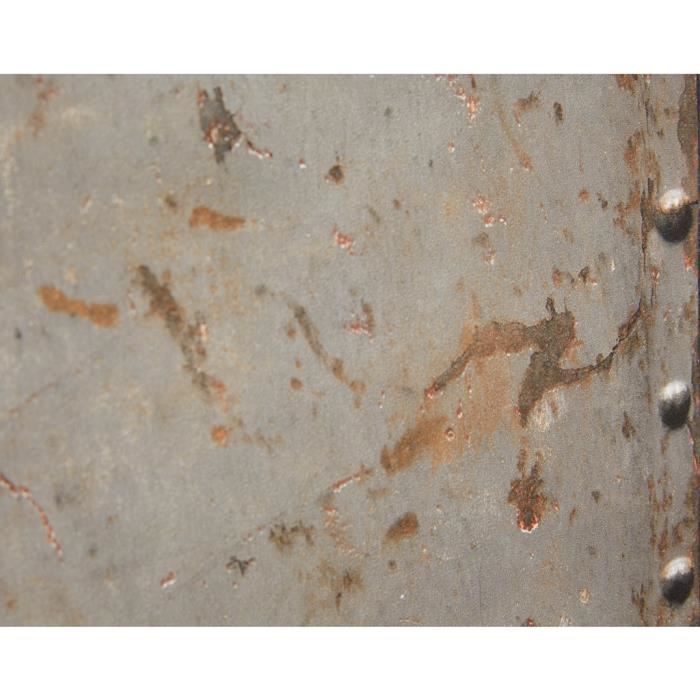 Papier peint plaque en métal gris rouille (Rouleau:10m)