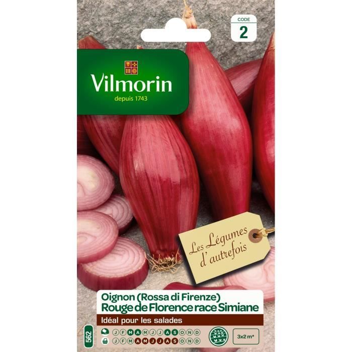 VILMORIN Oignon rouge de Florence race de Simiane