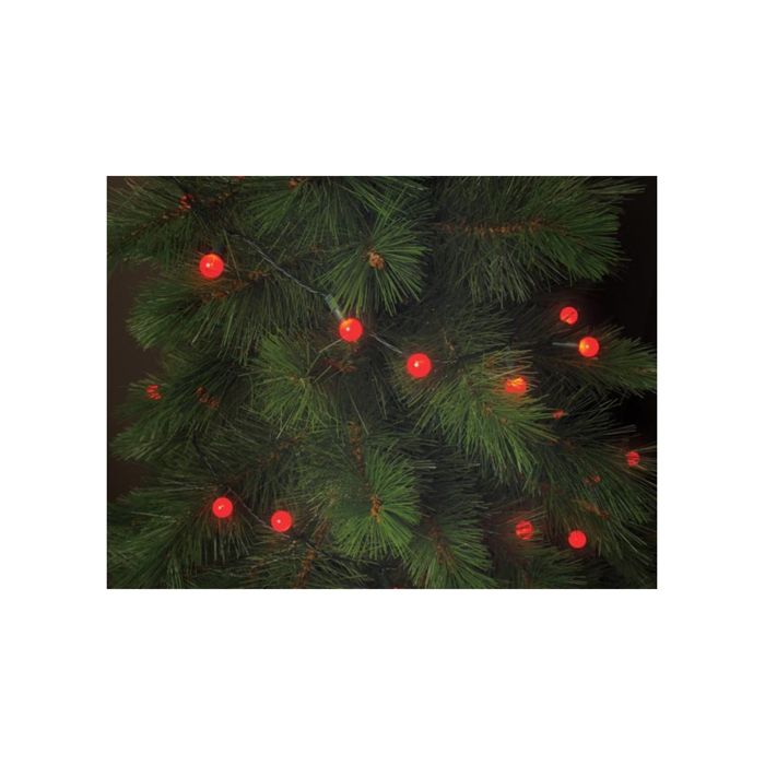 Cherry Light Led - 12 M - 120 Lampes Rouges - Fil Vert - 24 V
