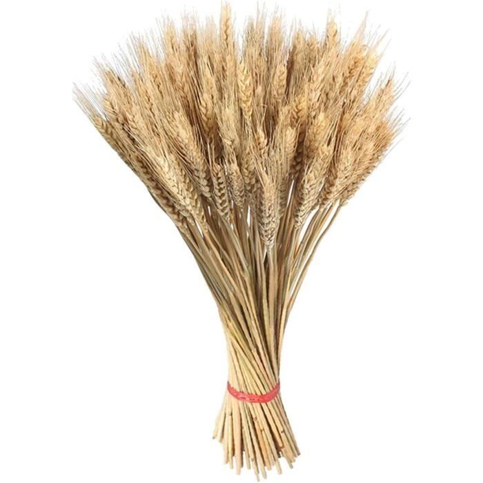 100 épis de blé - Lot de 100 gerbes de blé séchées,Décor de Bouquet de ...