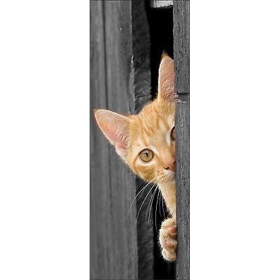 Papier peint pour porte trompe l/'oeil déco Tigre réf 514