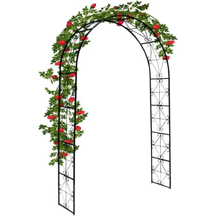 Arche De Jardin Robuste Pour Plantes Grimpante, Arceau A Rosiers En