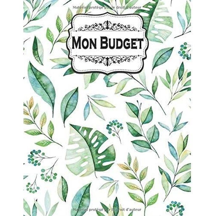 Carnet mon budget mensuel vierge et coloré - Ouvrage Lumineux