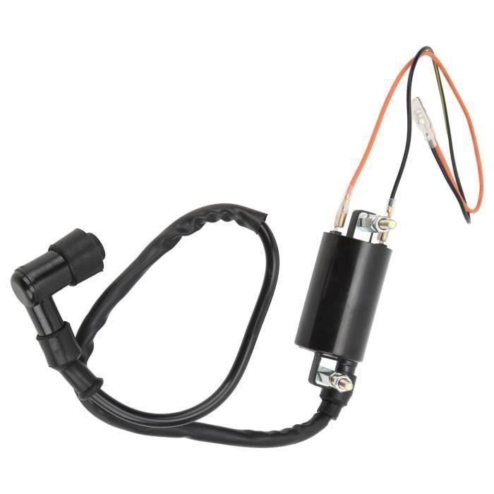 Bobine D'Allumage Universelle Twowinds Pour Moto, Quad - Haute Performance 6V/12V