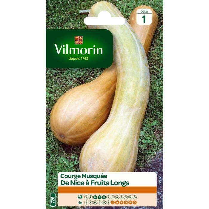 Courge de Nice à fruit long - VILMORIN - Variété traditionnelle très productive