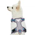 Blueberry Pet harnais pour chien réfléchissant, rembourré, sans traction, attaches laisse avant et arrière, Petit, Violet et Céleste-1