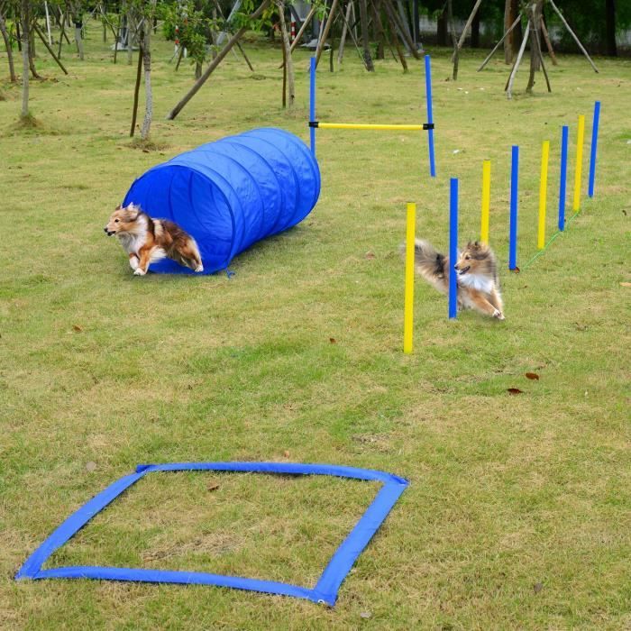 XMTECH Ensemble d'obstacles pour chiens Équipement d'entraînement d'agilité  pour animaux de compagnie, obstacles réglables - Cdiscount Animalerie