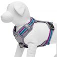 Blueberry Pet harnais pour chien réfléchissant, rembourré, sans traction, attaches laisse avant et arrière, Petit, Violet et Céleste-2