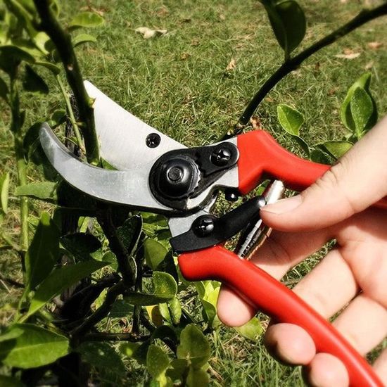 Sécateur de jardin, poignée antidérapante sécateur Cutter jardinage plante  ciseaux branche sécateur tondeuse outils sécateurs à
