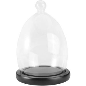 Cloche En Verre 12 5 X 16 5 Cm Cloche En Verre Diametre 12 5 Cm Hauteur 16 5 Cm Epaisseur Du Verre 3 Mm Environ Cdiscount Maison