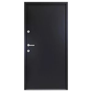 PORTE D'ENTRÉE BLL Porte d'entrée anthracite 90x200 cm aluminium 7029685965339