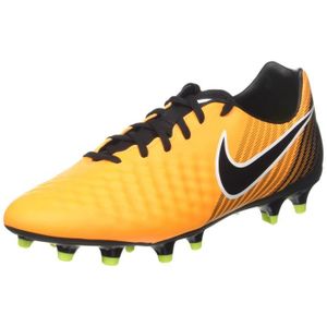 magista fer