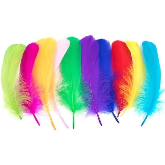 Lot De 300 Plumes D'oie Blanches Naturelles - Parfaites Pour DIY, Déco, Attrape-rêves, Mariage Et Créations Manuelles