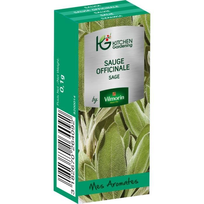 KITCHEN GARDENING Graines de sauge officinale
