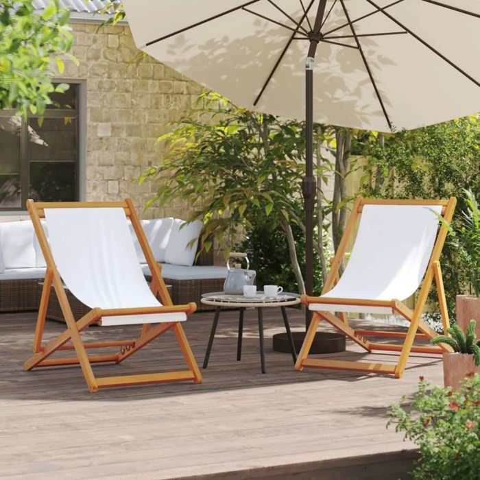 vidaXL Lot de 2 Chaises de Plage Pliables Sièges de Terrasse Chaises de Balcon Meubles de Patio Camping Jardin Extérieur