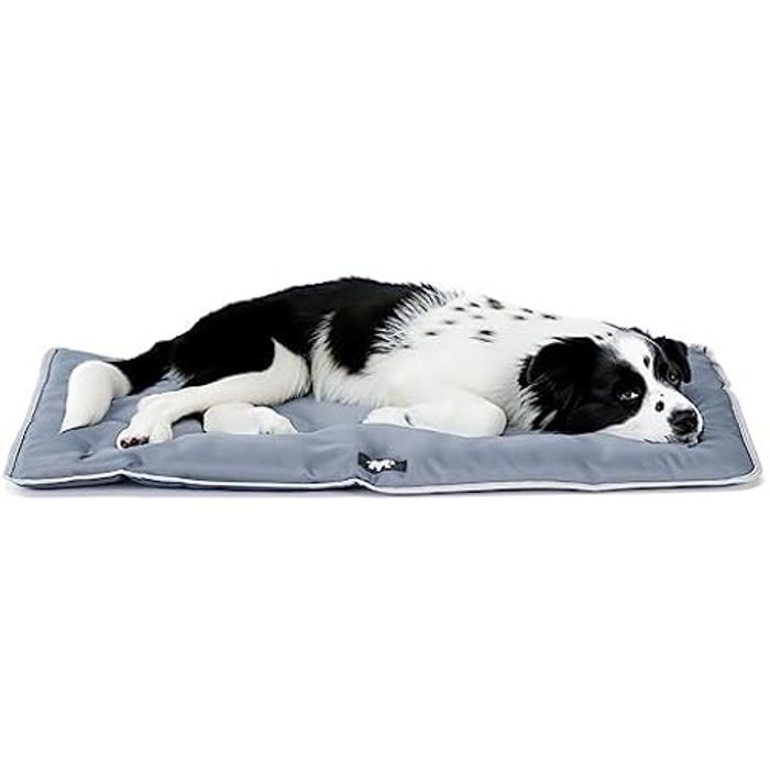 Panier pour Chien et Chat - Ferplast - Jolly - Lavable - Imperméable - Anti-Rayures