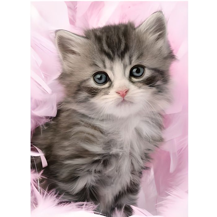 Puzzle Animaux Chat Chatons Gris 500 Pieces Ravensburger Cdiscount Jeux Jouets
