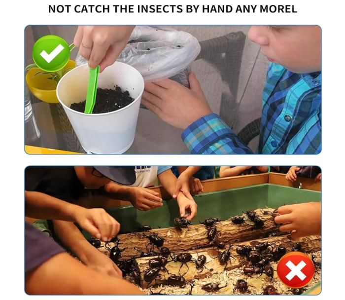 Jouet Motricité Fine Lot 6 Pinces à Épiler Enfants - Jouet Éducatif Motricité Fine Couleurs Jouet éducatif Motricité