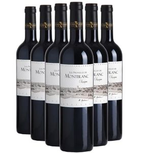 VIN ROUGE Languedoc Les Prunelles de Montblanc Classique Rouge 2021 - Lot de 6x75cl - Bruno Andreu - Vin AOC Rouge du Languedoc - Roussillon