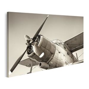 TOILE TABLEAUX guerre avion de chasse militaire 30 x 45 cm EUR 18,99