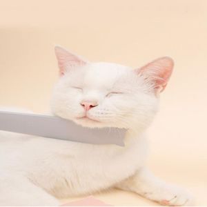 Brosse Pour Chaton Achat Vente Pas Cher Brosse Pour Chaton Achat Vente Pas Cher