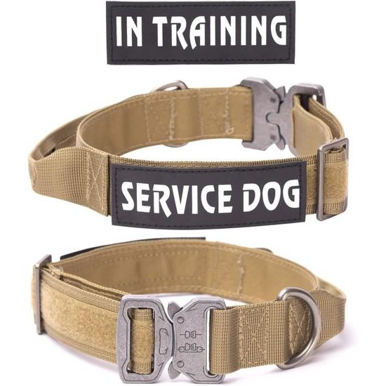 Hunter Cody Collier | Chien | Commander Hunter Cody Collier | Chien | Commander