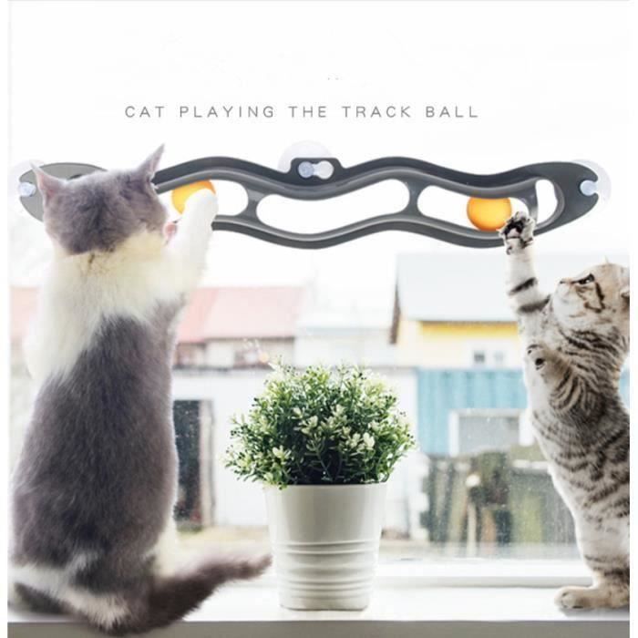 Cat Ball Track, Le Jouet à Ventouse incurvée Chat interactif Cat Se Monte sur Windows 2 balles de ping-Pong 21 x 3 Pouces