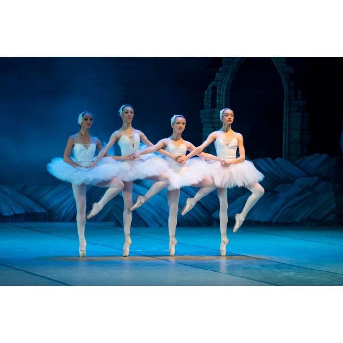Poster Affiche Ballet Ballerine sur les Pointes Danse Classique 31cm x 46cm