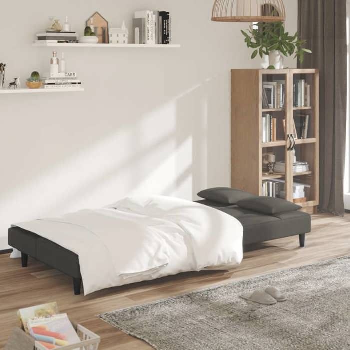 Remise CLIC-CLAC Canapé Lit Convertible à 2 places avec deu x oreillers Gris foncé Velours JILIMAISON2025 2509616